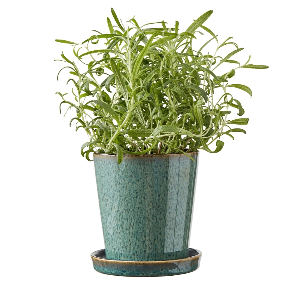 Bitz - Planter with saucer - 10 cm - black/green